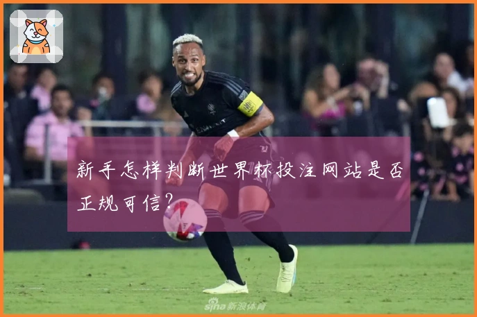 新手怎样判断世界杯投注网站是否正规可信？