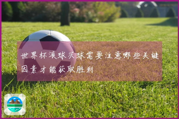 世界杯滚球买球需要注意哪些关键因素才能获取胜利