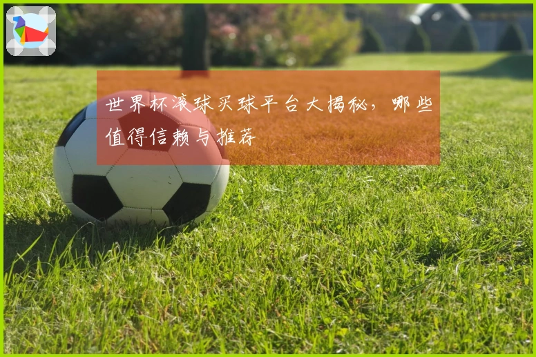 世界杯滚球买球平台大揭秘，哪些值得信赖与推荐
