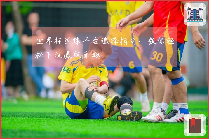 世界杯买球平台选择指南，教你轻松下注赢取乐趣