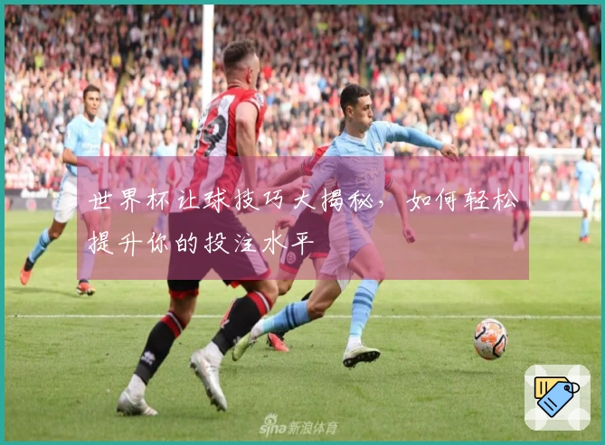 世界杯让球技巧大揭秘，如何轻松提升你的投注水平