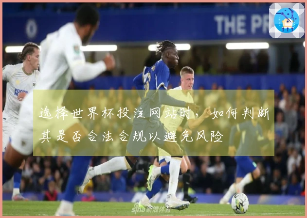 选择世界杯投注网站时，如何判断其是否合法合规以避免风险