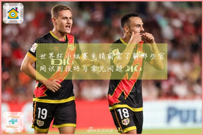 世界杯小组赛竞猜前需了解哪些官网识别技巧与常见问题