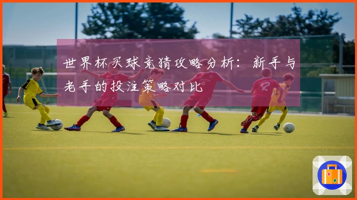 世界杯买球竞猜攻略分析：新手与老手的投注策略对比