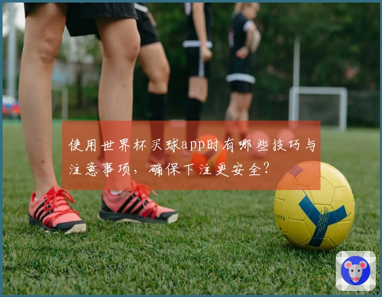 使用世界杯买球app时有哪些技巧与注意事项,确保下注更安全?