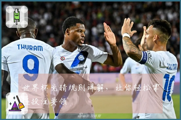 世界杯竞猜规则详解，让你轻松掌握投注要领