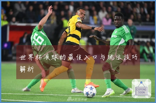 世界杯滚球的最佳入口与玩法技巧解析