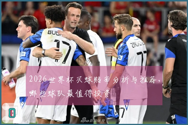 2026世界杯买球赔率分析与推荐，哪些球队最值得投资