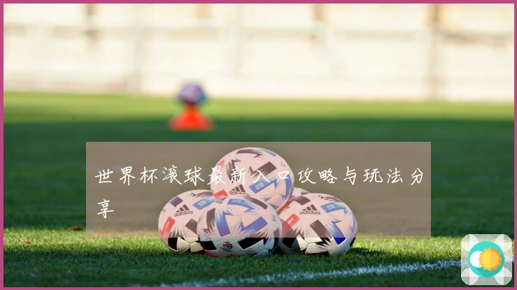 世界杯滚球最新入口攻略与玩法分享
