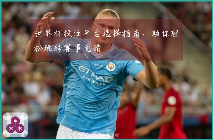 世界杯投注平台选择指南，助你轻松玩转赛事竞猜