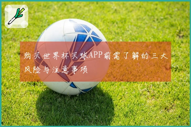 购买世界杯买球APP前需了解的三大风险与注意事项