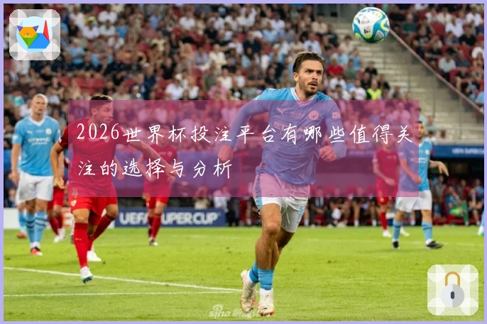 2026世界杯投注平台有哪些值得关注的选择与分析