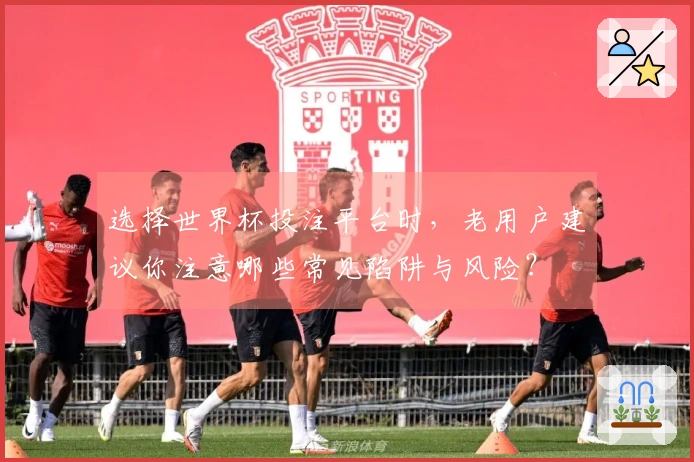 选择世界杯投注平台时，老用户建议你注意哪些常见陷阱与风险？