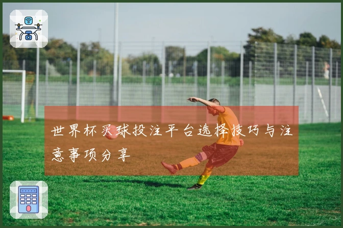 世界杯买球投注平台选择技巧与注意事项分享