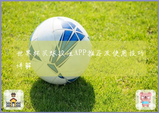 世界杯买球投注APP推荐及使用技巧详解