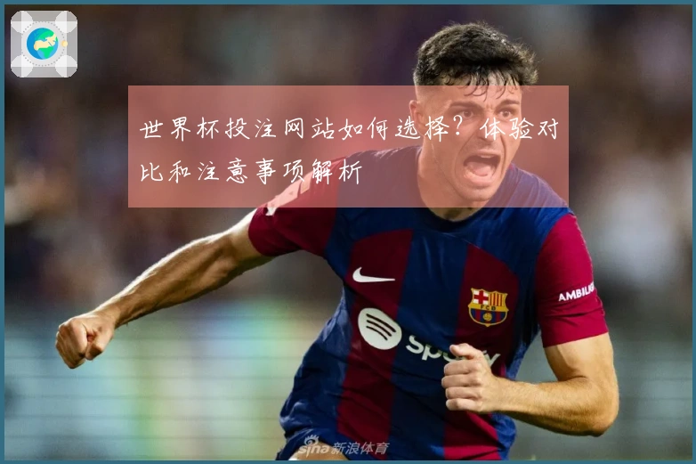 世界杯投注网站如何选择？体验对比和注意事项解析