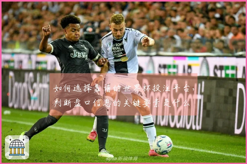 如何选择靠谱的世界杯投注平台，判断盘口信息的关键要素是什么