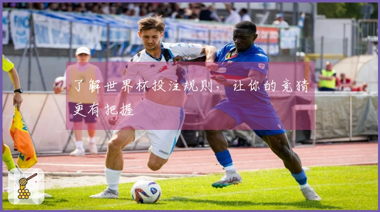 了解世界杯投注规则，让你的竞猜更有把握