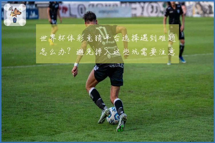 世界杯体彩竞猜平台选择遇到难题怎么办？避免掉入这些坑需要注意的体彩规则细节
