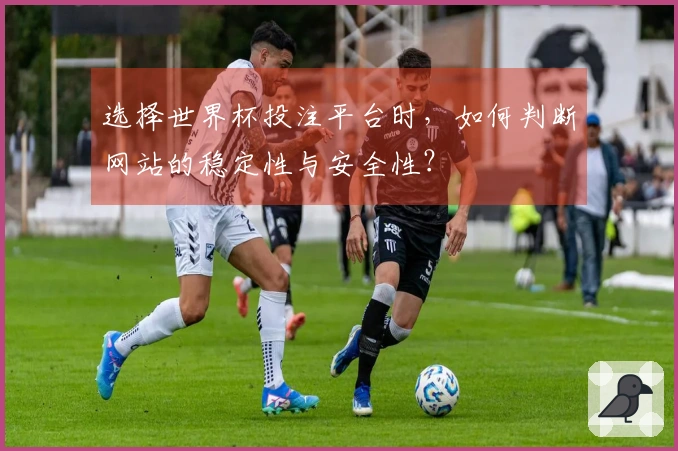 选择世界杯投注平台时，如何判断网站的稳定性与安全性？