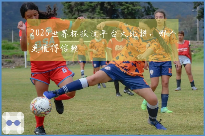 2026世界杯投注平台大比拼，哪个更值得信赖