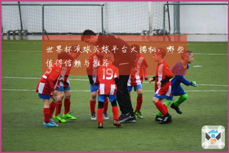 世界杯滚球买球平台大揭秘，哪些值得信赖与推荐