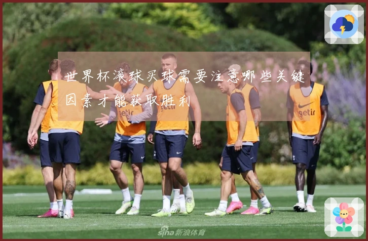 世界杯滚球买球需要注意哪些关键因素才能获取胜利