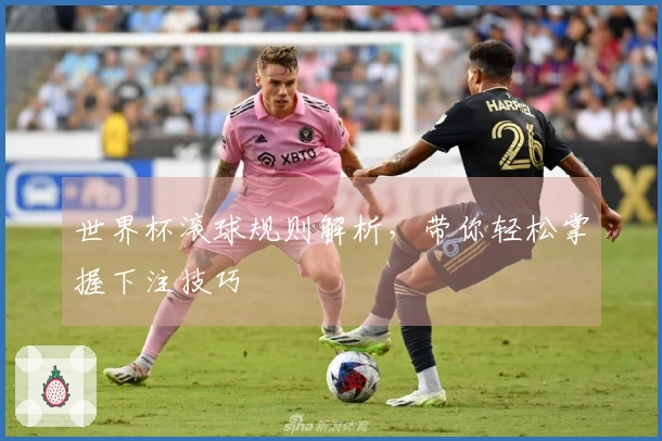 世界杯滚球规则解析，带你轻松掌握下注技巧