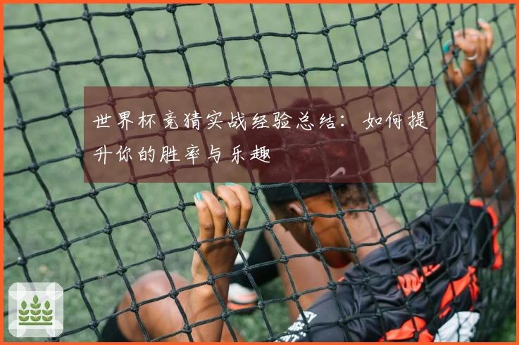 世界杯竞猜实战经验总结：如何提升你的胜率与乐趣